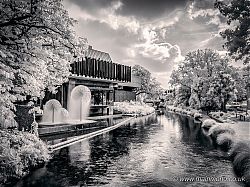 River Avon & Town Hall, Christchurch