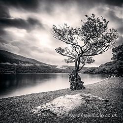 Early Morning, Loch Lomond